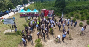 SİNOP’TA 15 TEMMUZ ŞEHİTLERİ İÇİN 251 FİDAN TOPRAKLA BULUŞTU