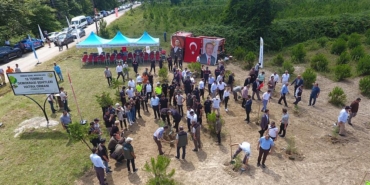 SİNOP’TA 15 TEMMUZ ŞEHİTLERİ İÇİN 251 FİDAN TOPRAKLA BULUŞTU