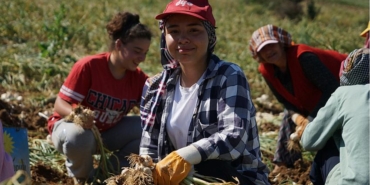 HER GÜN 200 KİLOMETRE YOL KAT EDİP SARIMSAK TARLASINDA ÇALIŞIYORLAR