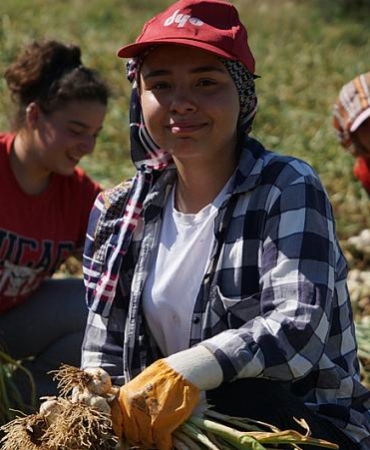 HER GÜN 200 KİLOMETRE YOL KAT EDİP SARIMSAK TARLASINDA ÇALIŞIYORLAR
