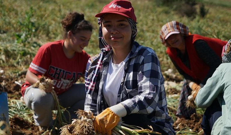 HER GÜN 200 KİLOMETRE YOL KAT EDİP SARIMSAK TARLASINDA ÇALIŞIYORLAR