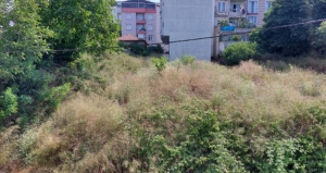 MAHALLE HALKININ “BÜYÜYEN OT” TEPKİSİ