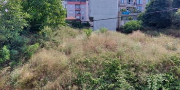 MAHALLE HALKININ “BÜYÜYEN OT” TEPKİSİ