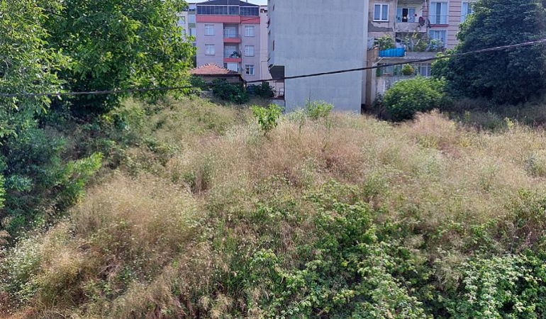 MAHALLE HALKININ “BÜYÜYEN OT” TEPKİSİ