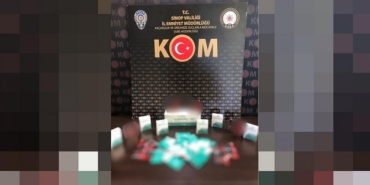 43 ADET GÜMRÜK KAÇAĞI CİNSEL İLAÇ ELE GEÇİRİLDİ