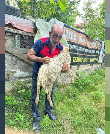 SİNOP'TA KUYUYA DÜŞEN KOYUN KURTARILDI