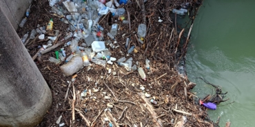 BİR AN ÖNCE TEMİZLENMELİ!