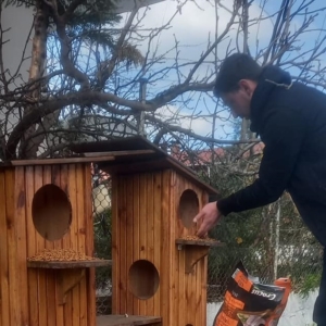 Gerze’de sokak hayvanları için örnek çalışma