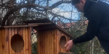 Gerze’de sokak hayvanları için örnek çalışma