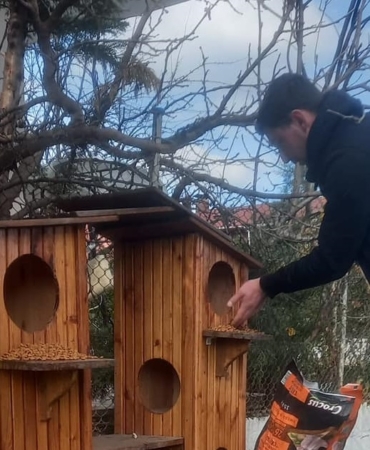 Gerze’de sokak hayvanları için örnek çalışma