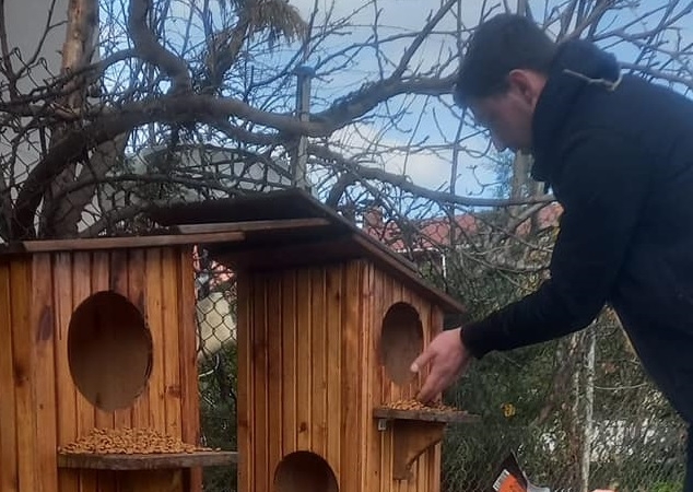 Gerze’de sokak hayvanları için örnek çalışma