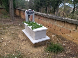 Sinoplu hayvansever ölen kedisi için mezar yaptırdı