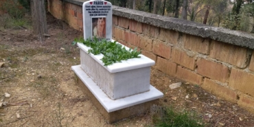 Sinoplu hayvansever ölen kedisi için mezar yaptırdı