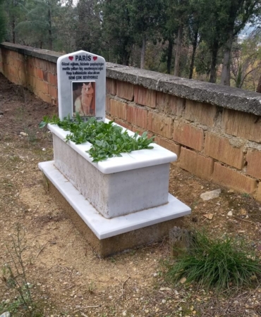 Sinoplu hayvansever ölen kedisi için mezar yaptırdı