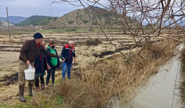 Sinop’ta sivrisinekle mücadele çalışmaları devam ediyor