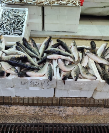 VİTAMİN DEPOSU KEFAL 200 LİRADAN SATIŞA SUNULUYOR