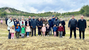 Sinop'ta fidanlar toprakla buluşturuldu