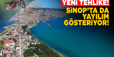 Asya Kaplan Sivrisineğine dikkat!