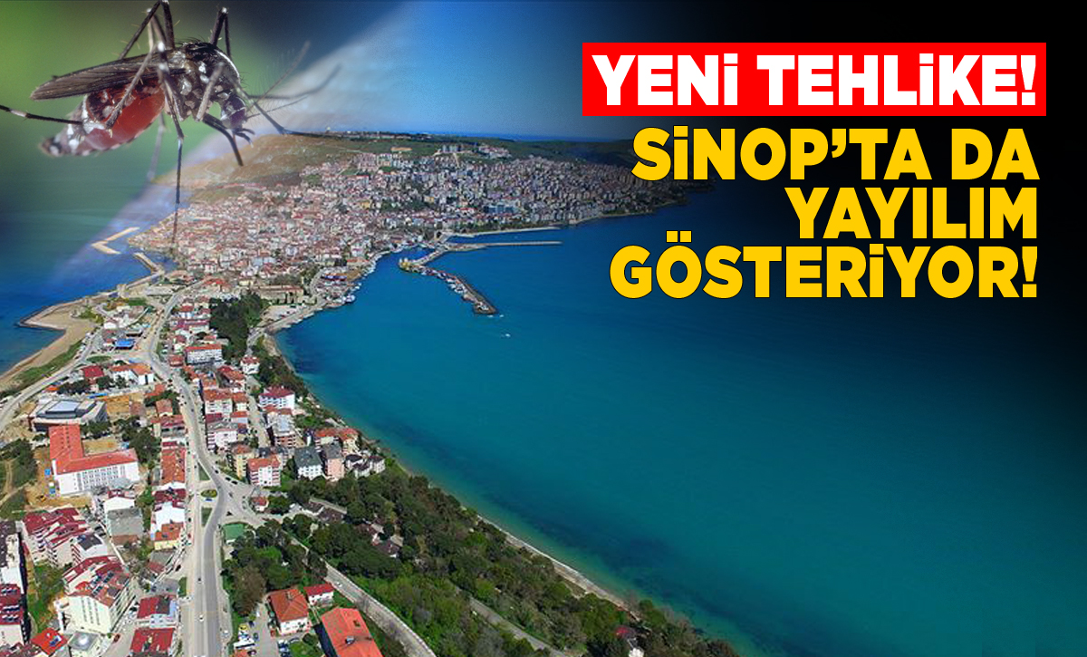 Asya Kaplan Sivrisineğine dikkat!
