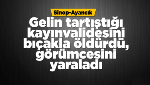 Kayınvalidesini öldürdü, görümcesini yaraladı
