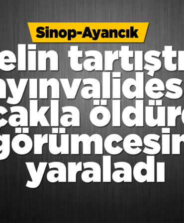 Kayınvalidesini öldürdü, görümcesini yaraladı