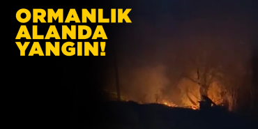 Ormanlık alanda yangın çıktı