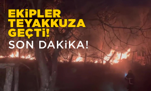 Sinop’ta arazi yangını