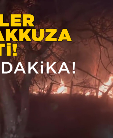 Sinop’ta arazi yangını