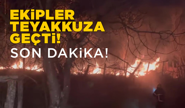 Sinop’ta arazi yangını