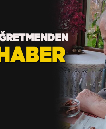 Sinoplu emekli öğretmen hayatını kaybetti