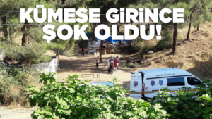 Kümesten çıktı soluğu emniyette aldı!
