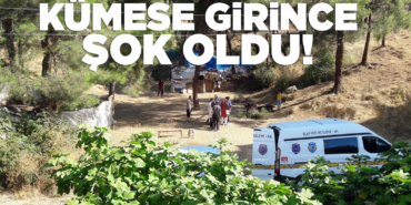 Kümesten çıktı soluğu emniyette aldı!