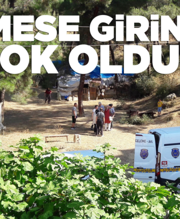 Kümesten çıktı soluğu emniyette aldı!