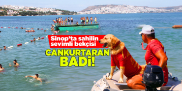 Sinop'ta sahiller güvende! Cankurtaran Badi iş başında