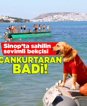Sinop'ta sahiller güvende! Cankurtaran Badi iş başında