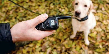 Süregelen işkenceyi öğretmenleri fark etti: Çocuğuna zulmeden anne tutuklandı