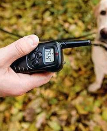 Süregelen işkenceyi öğretmenleri fark etti: Çocuğuna zulmeden anne tutuklandı