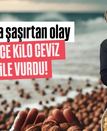 Gemiden mi, savaştan mı? Sinop'ta Karadeniz ceviz kustu