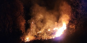 Sinop’ta Orman Yangını: 500 metrekarelik alan kül oldu