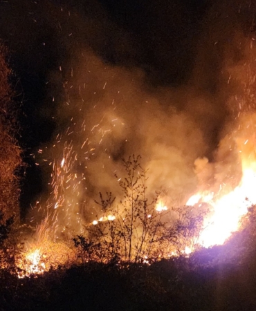 Sinop’ta Orman Yangını: 500 metrekarelik alan kül oldu