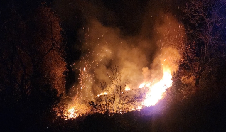 Sinop’ta Orman Yangını: 500 metrekarelik alan kül oldu