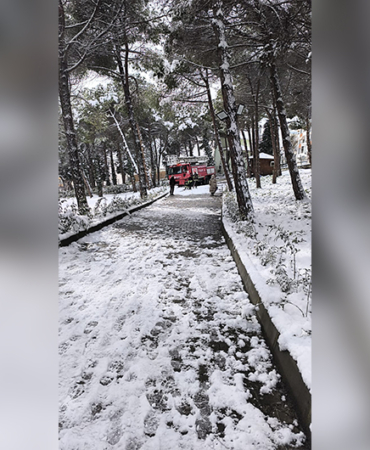 15 SAAT AĞAÇTA MAHSUR KALAN KEDİ SİNOP BELEDİYESİ İTFAİYE EKİPLERİNCE KURTARILDI