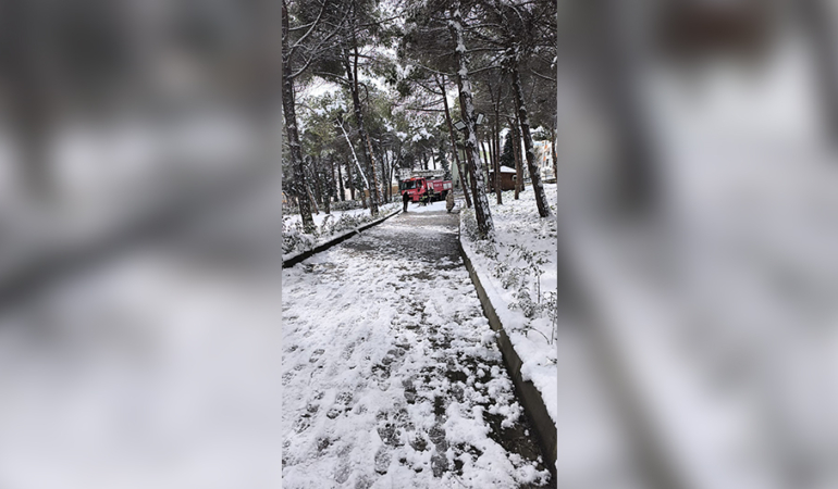 15 SAAT AĞAÇTA MAHSUR KALAN KEDİ SİNOP BELEDİYESİ İTFAİYE EKİPLERİNCE KURTARILDI