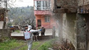 Kahverengi kokarca ile mücadele çalışması devam ediyor