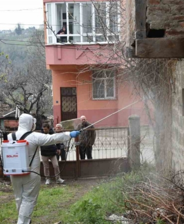 Kahverengi kokarca ile mücadele çalışması devam ediyor