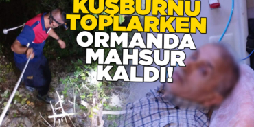 Kuşburnu toplarken ormanda mahsur kaldı