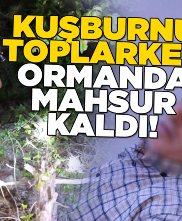 Kuşburnu toplarken ormanda mahsur kaldı