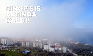 Sinop'ta akşam saatlerinde sis etkili oldu