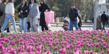 Samsun binlerce laleyle süslendi