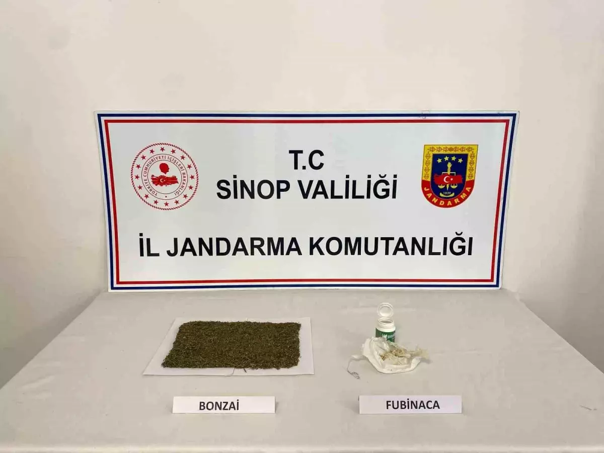 Sinop'ta Uyuşturucu Operasyonu